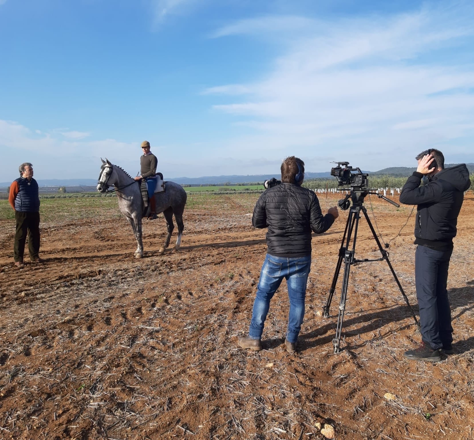 todo caballo canal sur febrero 2021